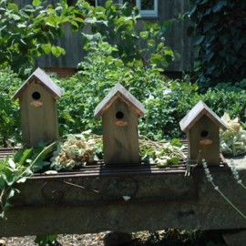 Vogelhuis/nestkast Winterkoning