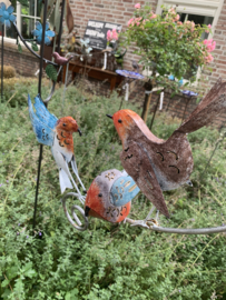 Tuinsteker balans vogels met voederschaal