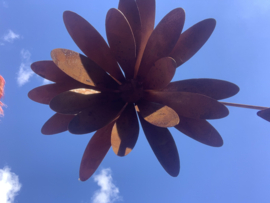 Gebogen bloemkelk 3D