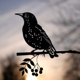 Geluksvogel : silhouet van een spreeuw levensgroot