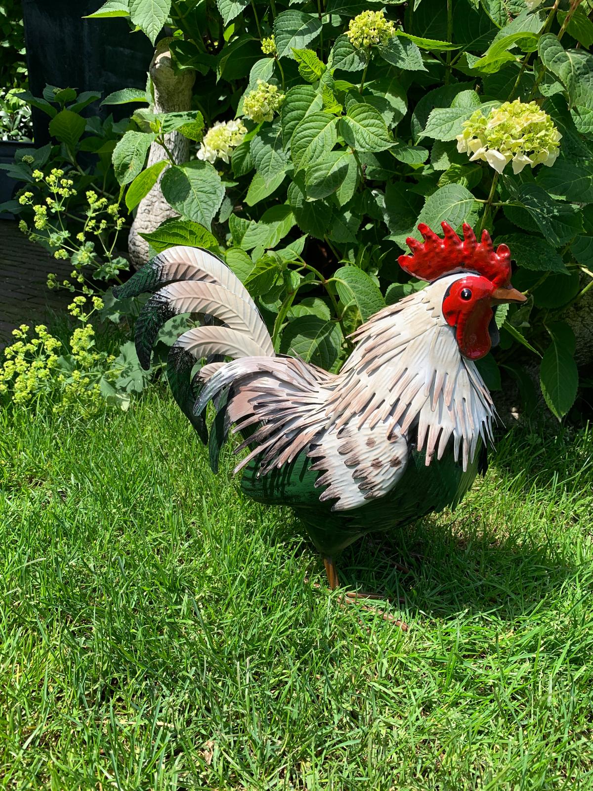 Haan/ hen van metaal