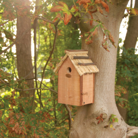 Vogelhuis/nestkast Pimpelmees