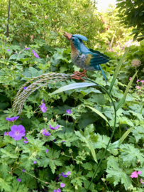 Tuinsteker vogel op halm