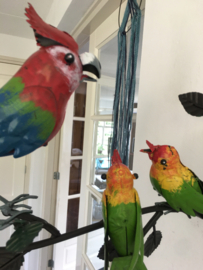 Wandecoratie vogels