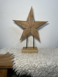 Kerst ster Teakhout