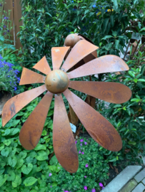 Tuinsteker bloem zonnehoed
