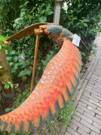 Tuinsteker snuitvogel