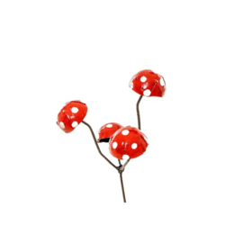 Paddestoelen rood met witte stippen