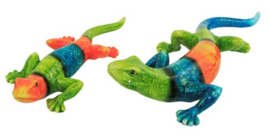 Gekko of hagedis