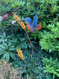 Tuinsteker vogel op tarwe