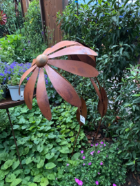 Tuinsteker bloem zonnehoed