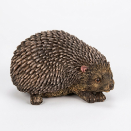 Egel levensecht