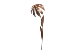 Bloem Echinacea, roest
