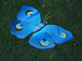 Vlinder op tuinsteker