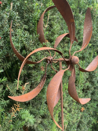 Windmolen Diabolo Ø57cm