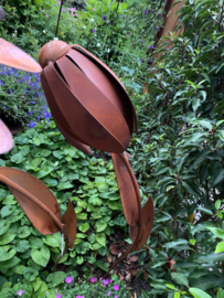 Tuinsteker bloem zonnehoed