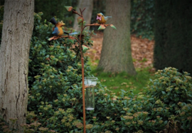 Regenmeter 2 vogels op tak