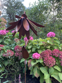 Gebogen bloemkelk 3D