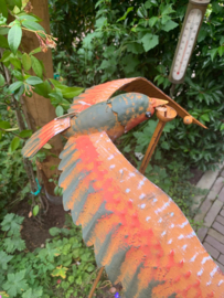 Tuinsteker snuitvogel