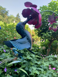 Bloem met fantasie kolibri