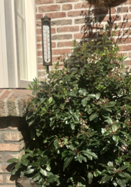 Thermometer  op steker koperlook