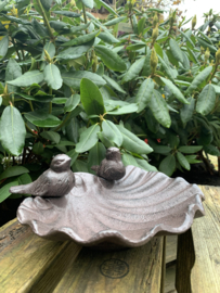 Vogelbad in de vorm van een schelp