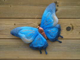 Vlinder blauw  wanddecoratie mt L
