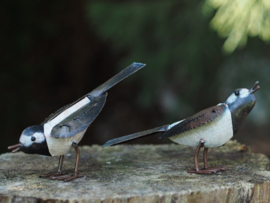 Vogel  kwikstaartje, per 2