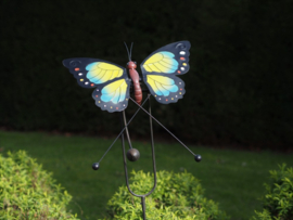 Tuinsteker vlinder
