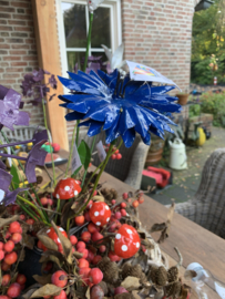 Paddestoelen rood met witte stippen
