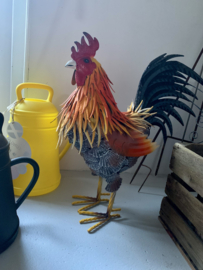 Grote haan 60cm hoog