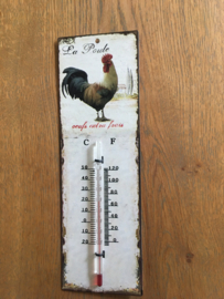 Thermometer haan 25cm