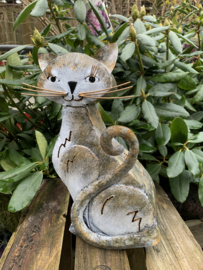 Kat poes met ruimte voor lichtje