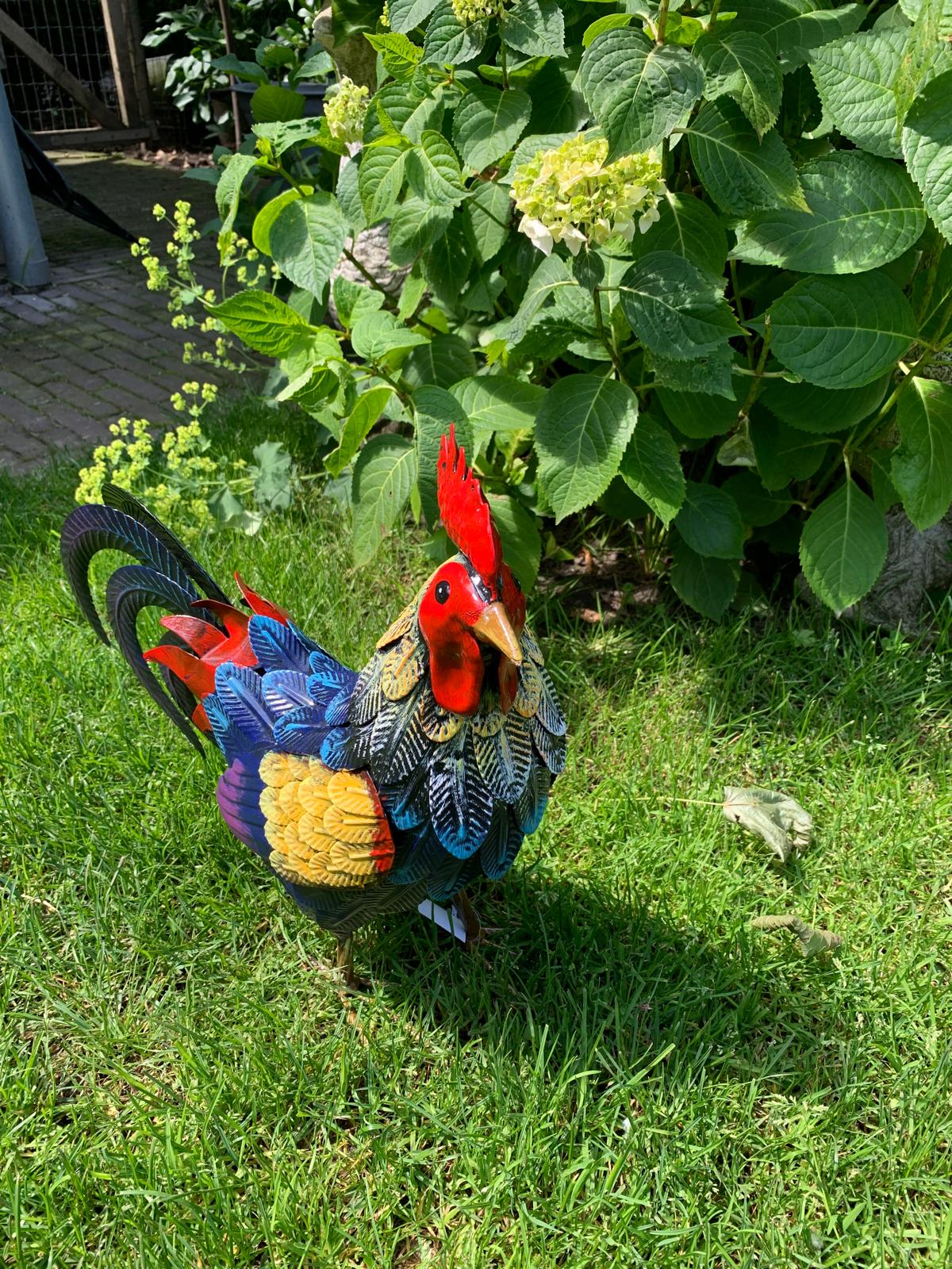 Haantje van metaal