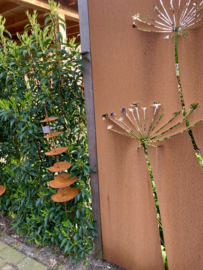 Tuinsteker Eucalyptus bloem