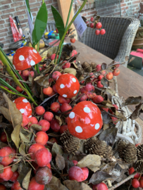 Paddestoelen rood met witte stippen