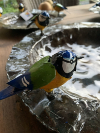 Voederschaal met gekleurde vogeltjes