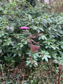 Balans meisje met roze paraplu, metaal