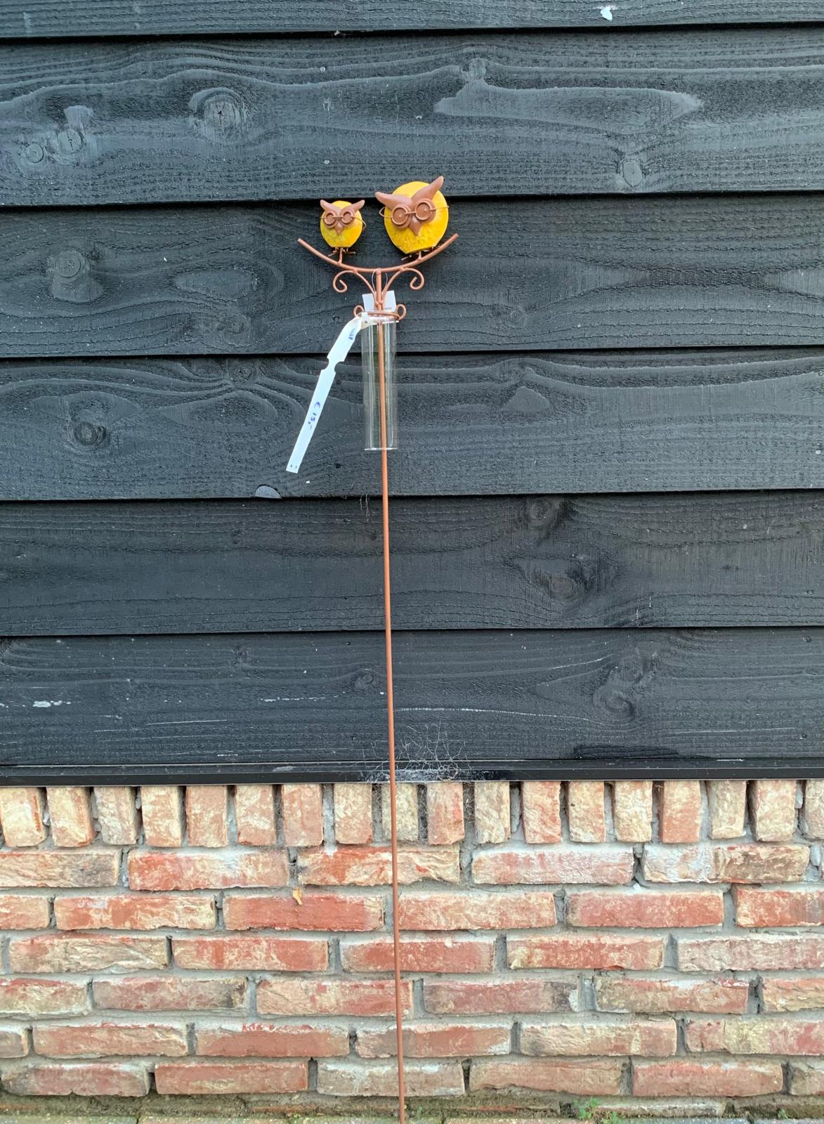 Regenmeter gele uiltjes met bril