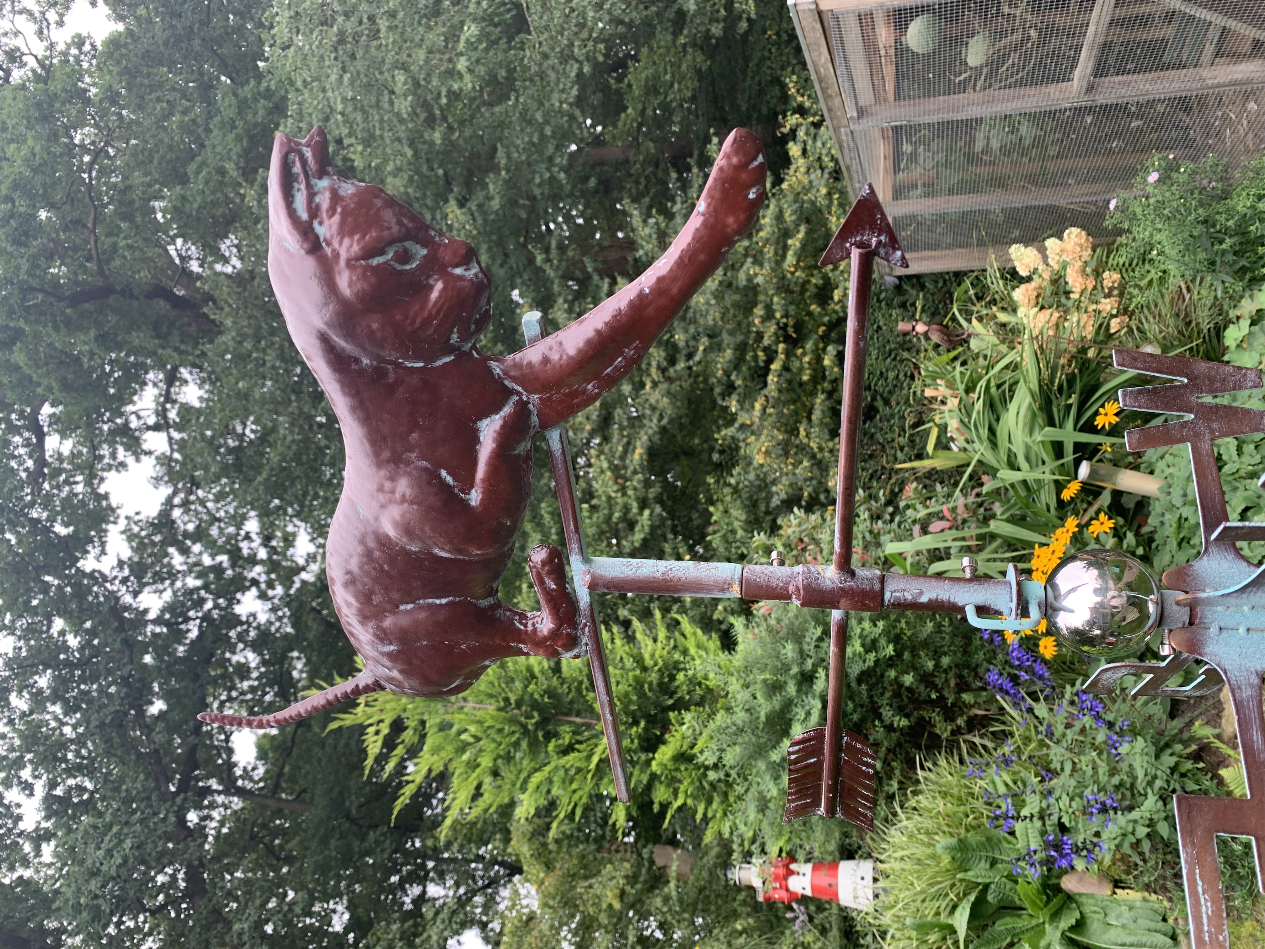 Windwijzer kat windwijzer