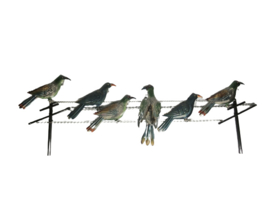 Duiven (vogels) op draad wanddecoratie
