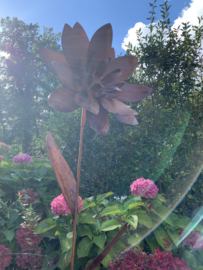 Dahlia tuinsteker  3D