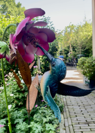 Bloem met fantasie kolibri