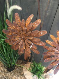 3D bloem Morgenster roest