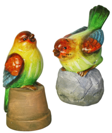 Vogels op pot en steen
