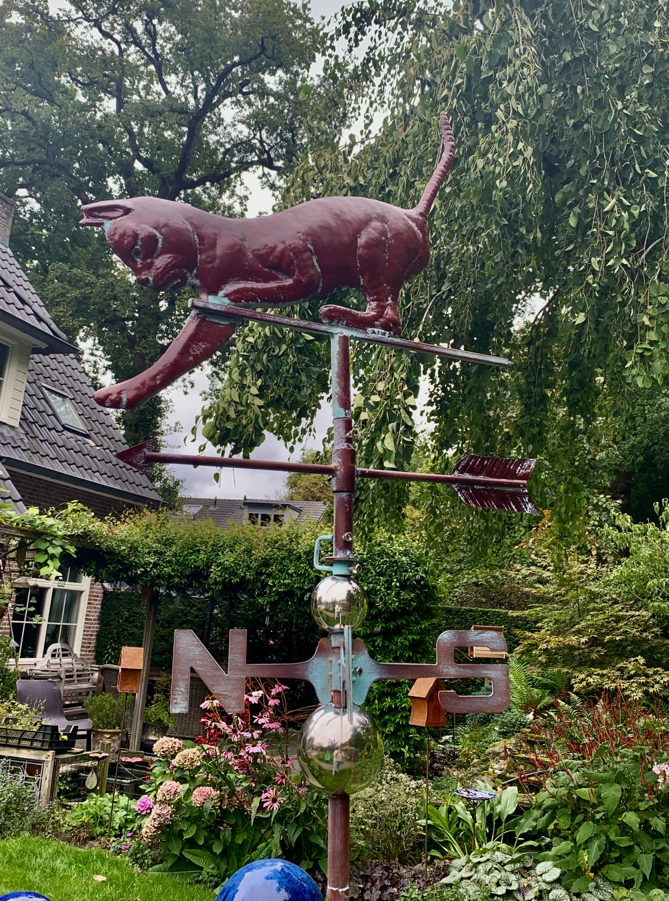 Windwijzer kat windwijzer