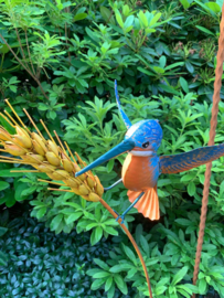 Tuinsteker vogel op tarwe