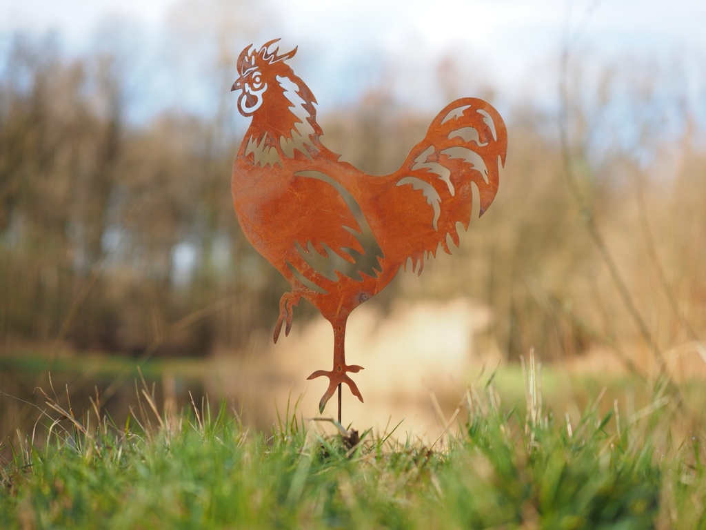 Gazon steker haan roest