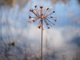 Bloem roest