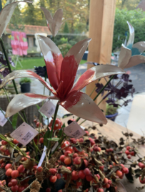 Wit roze bloem van metaal